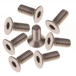 Mugen Seiki SJG 4x10mm Titanium Flat Head Screws (8).